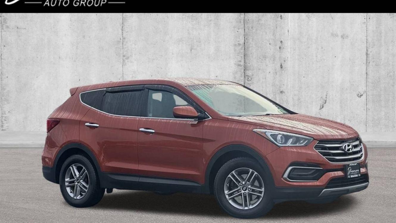 HYUNDAI SANTA FE 2017 5XYZTDLB1HG431911 image